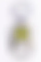 CustomBannersNow.Com