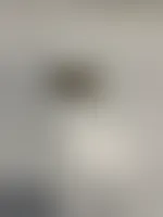 CustomBannersNow.Com