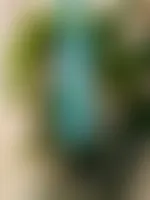 CustomBannersNow.Com
