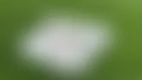 CustomBannersNow.Com