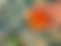 CustomBannersNow.Com