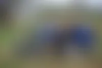 CustomBannersNow.Com