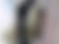 CustomBannersNow.Com