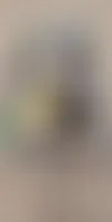 CustomBannersNow.Com - Roll Labels