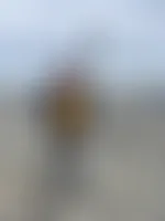 CustomBannersNow.Com - Circle Stickers
