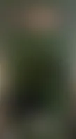 CustomBannersNow.Com