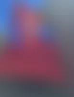 CustomBannersNow.Com - Rectangle Flag