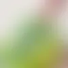 Clear Stickers - Custom Banners Now