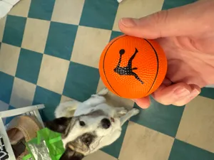 CustomBannersNow.Com