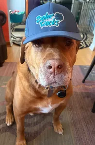 CustomBannersNow.Com - Full Color TPU