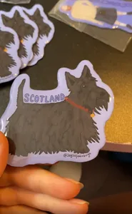 CustomBannersNow.Com