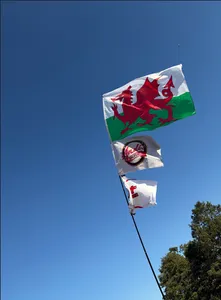 CustomBannersNow.Com - Rectangle Flag