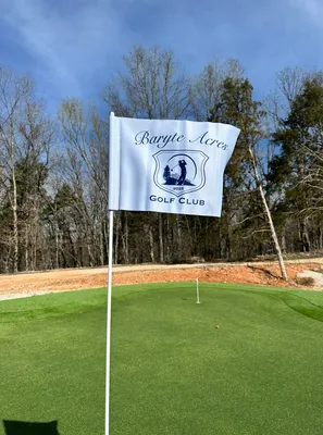 Golf Flag - This is on a putting green at my house