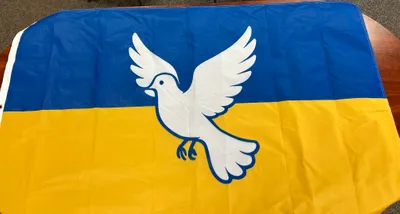 Rectangle Flag - We needed to replace our Dove flag