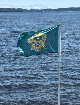 Rectangle Flag - Flag looks great