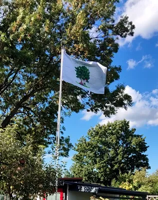 Rectangle Flag - Vielen Dank fr Flagge mit meinem eigenen Logo Qualitt berzeugt total Bestell ich gerne wieder Sie weht jetzt bei uns im Garten