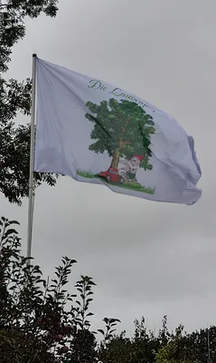 Rectangle Flag - Mit der Gre 15m x 250m jetzt perfekt Super verarbeitet und sieht wirklich toll aus Vielen lieben Dank