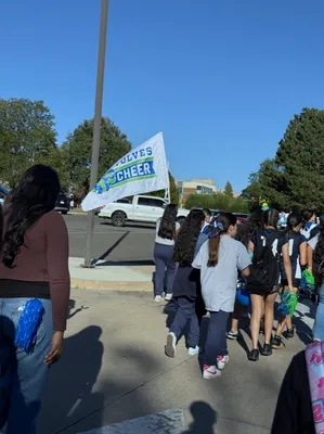 Rectangle Flag - Love these flags Makes a big impact and shows our school spirit We used these at our local Homecoming parade