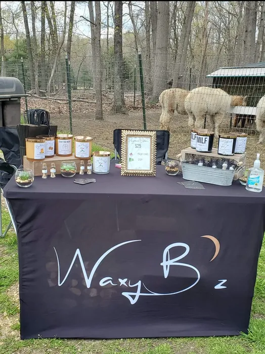 CustomBannersNow.Com