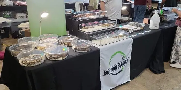 CustomBannersNow.Com