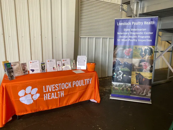 CustomBannersNow.Com