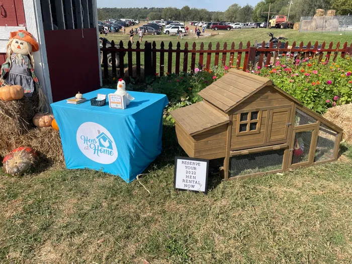 CustomBannersNow.Com