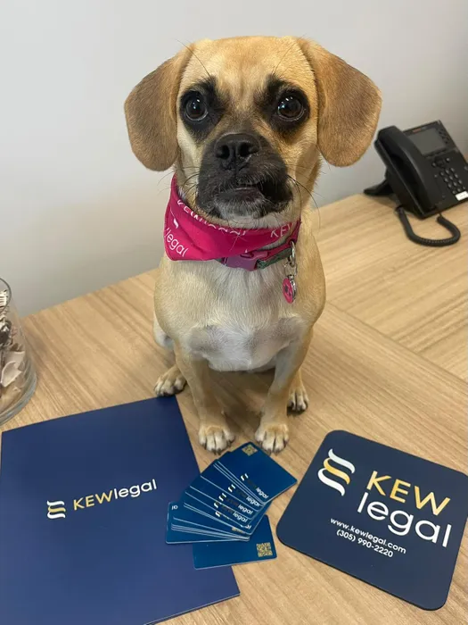 CustomBannersNow.Com