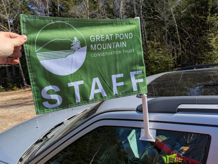 CustomBannersNow.Com - Car Flag