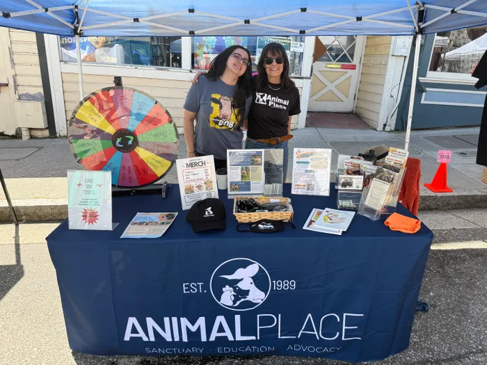 CustomBannersNow.Com - Custom Rectangle Table Covers