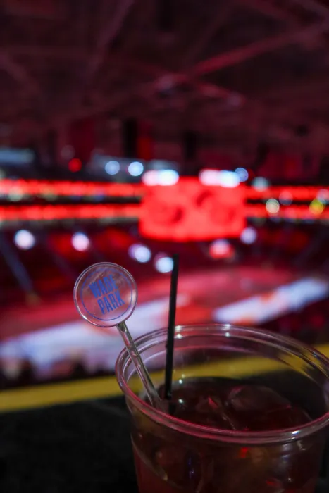 CustomBannersNow.Com - Transparent Stir Sticks