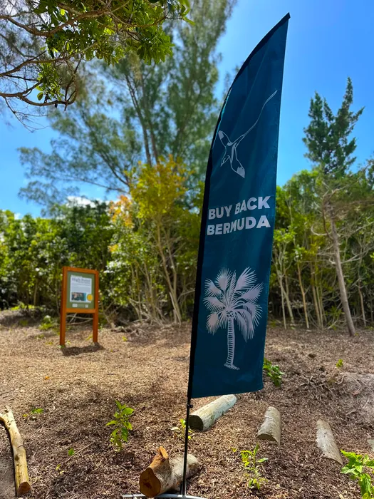 CustomBannersNow.Com - Feather Flag