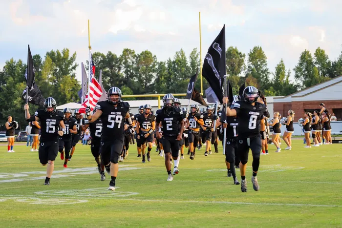 CustomBannersNow.Com - Rectangle Flag