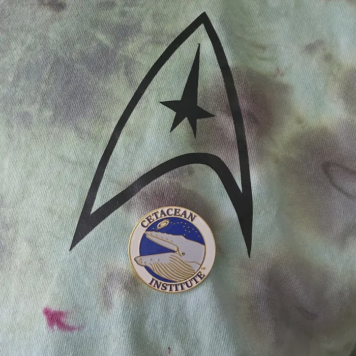 CustomBannersNow.Com - Hard Enamel Pin