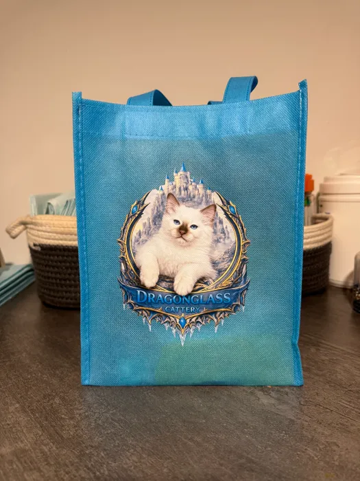 CustomBannersNow.Com - Custom Small Gift Tote Bag