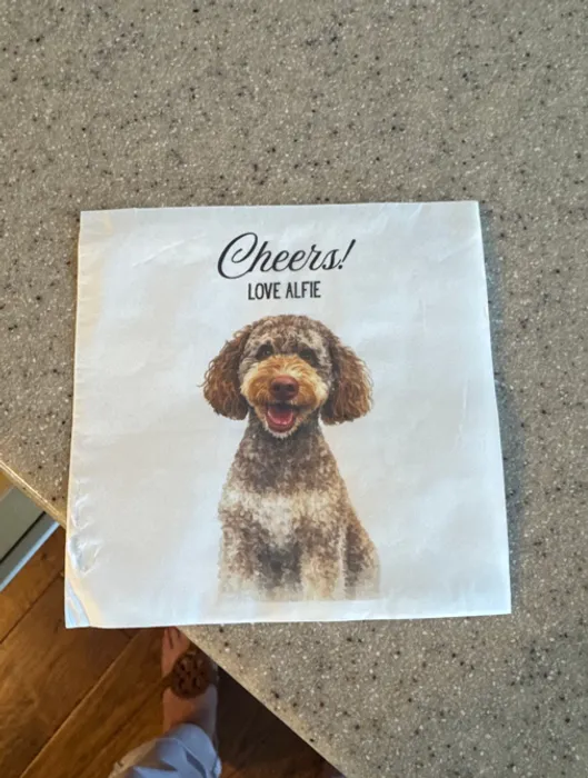 CustomBannersNow.Com - Custom Paper Beverage Napkin