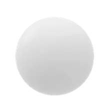 White White
