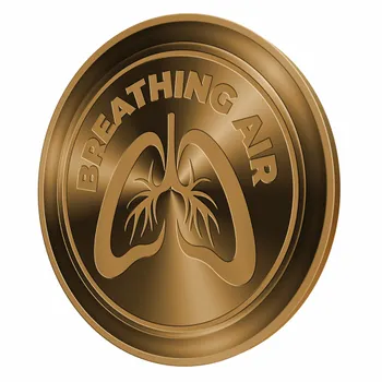 Challenge Coins - Custom Banners Now