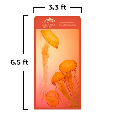 3.3 x 6.5 ft - Custom Banners Now