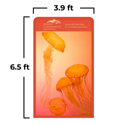 3.9 x 6.5 ft - Custom Banners Now