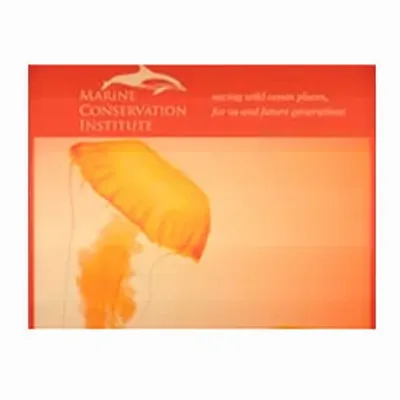 None - Custom Banners Now