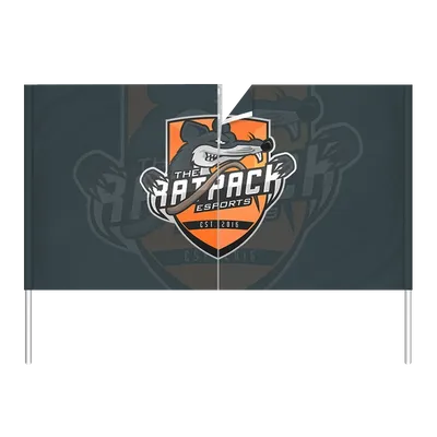 Regular Printing - Custom Banners Now