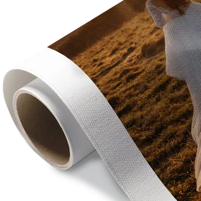 Rolled Canvas Rolled Canvas - Custom Banners Now