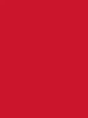 PMS 186 PMS 186 - Custom Banners Now