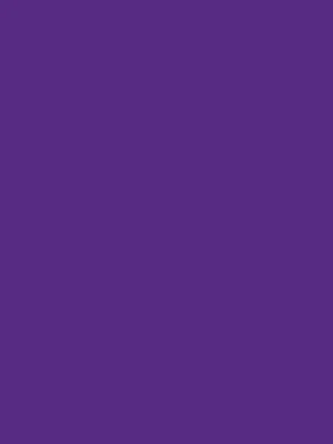 PMS 268 PMS 268 - Custom Banners Now
