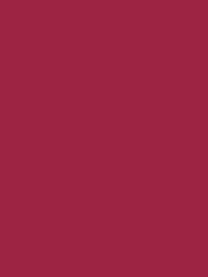 PMS 194 PMS 194 - Custom Banners Now