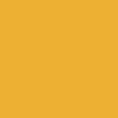 Orange - Custom Banners Now