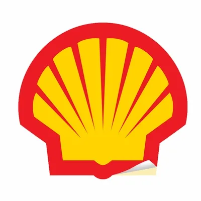 Die Cut - Custom Banners Now