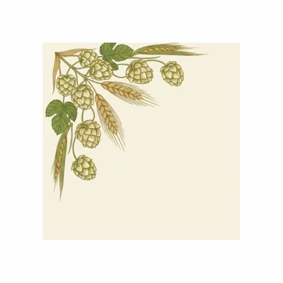 8 in x 8 in - Custom Banners Now