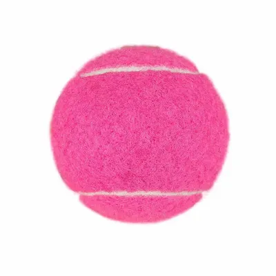 Fuchsia - Custom Banners Now