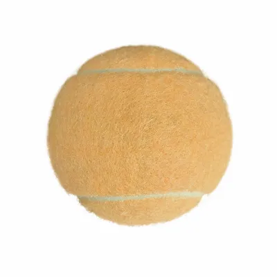 Rice Orange - Custom Banners Now